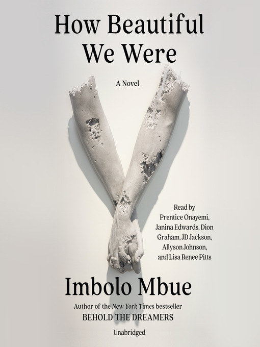 Title details for How Beautiful We Were by Imbolo Mbue - Wait list